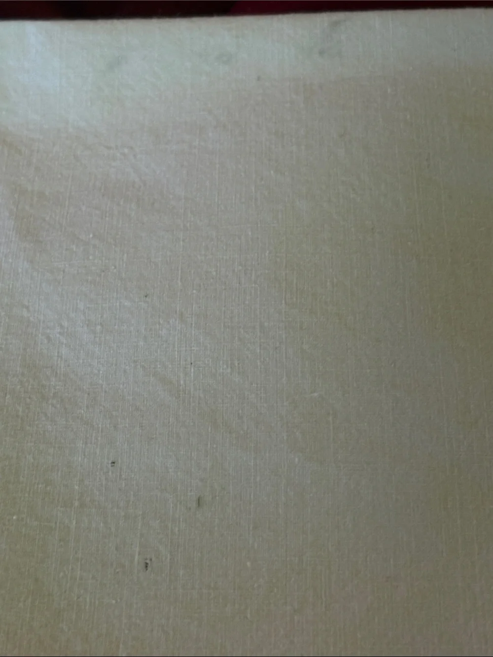 Vintage machine Embroidered White Linen Tablecloth and Napkin Set